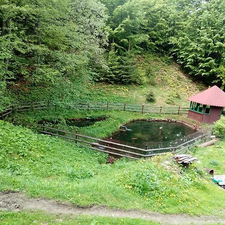 Coliba De La Rapa Case de vacanță *